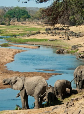 Ruaha National Park