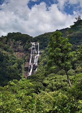 Udzungwa Mountains