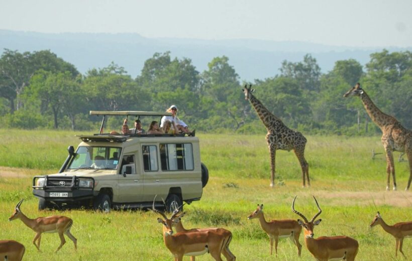 1 Day Mikumi Safari from Dar es Salaam