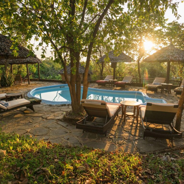 Best places to stay near Mikumi National Park