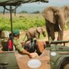 How Much Does a Mikumi Safari Cost, Prices for 1, 2 & 3 Day Safaris
