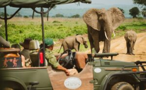 5-Day Mikumi, Udzungwa & Ruaha Safari from Dar es Salaam