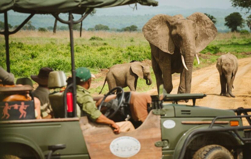 5-Day Mikumi, Udzungwa & Ruaha Safari from Dar es Salaam
